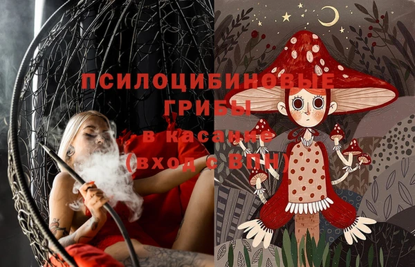 прущая мука Алзамай