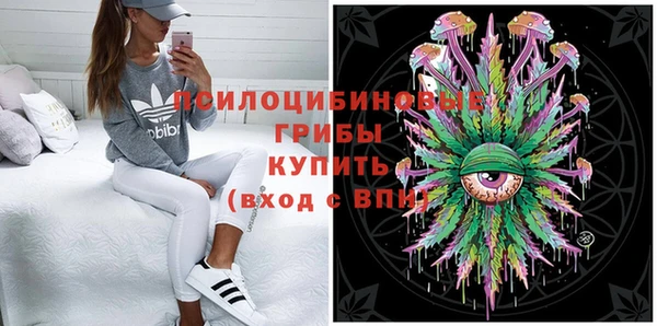 СК Абинск