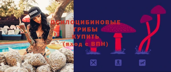 СК Абинск