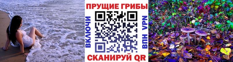 как найти наркотики  Салават  Псилоцибиновые грибы Cubensis 