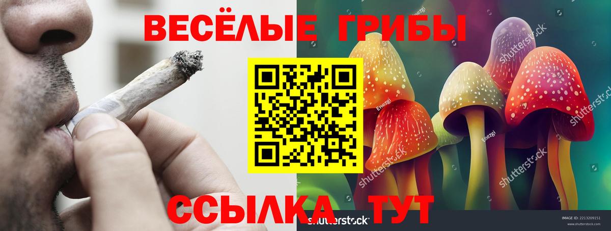Галлюциногенные грибы MAGIC MUSHROOMS  Вход с VPN  хочу наркоту  Салават 